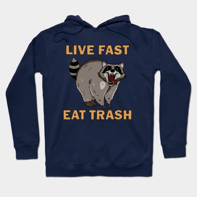 Raccoon - Live Fast Eat Trash Hoodie by valentinahramov